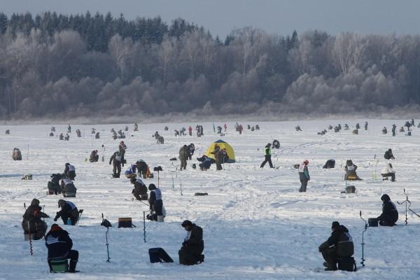 Московская область. Можайское водохранилище.